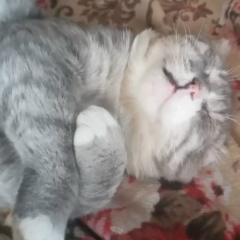 Ирина Дзисюк, 05.04.1970, Державинск