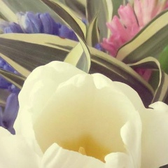 Асель Конысбаева