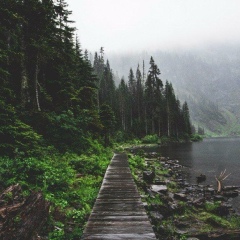 Александр Дэйринг, Киев