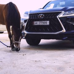 Саян Есетов, 19.11, Жанаозен