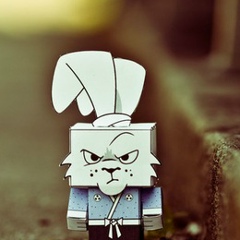 Игорь Кононов, Гомель