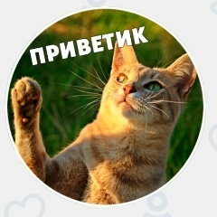 Екатерина Танкевич, 25.12.1983, Санкт-Петербург