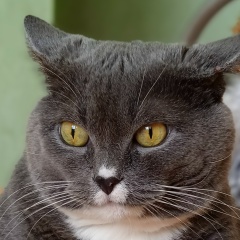 Григорий Петрович, 26.04.1985, Тверь