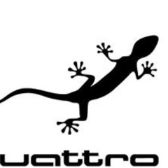 Никита Ермоленко, 12.03.1987, Москва