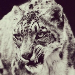 Марал Коргасбаева, 06.06.1988, Алматы