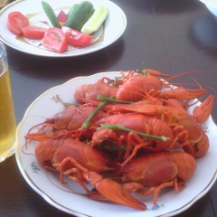 Андрей Грузинцев, 14.01.1985, Москва