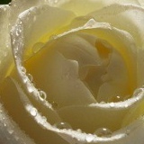 Наталья Бобер, 28.11, Киев