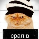 Андр Brrr, 16.03, Ширван