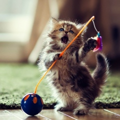 Катерина Кукла, 24.05.1990, Москва