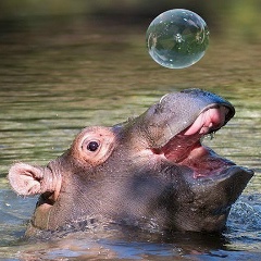 Константин Денисов, 23.04.1991, Новосибирск