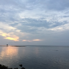 Максим Ким, 01.05, Москва