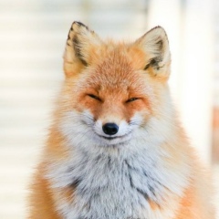 Виктор Туманов, 08.11.1991