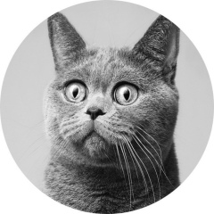 Вит Радченко, 09.05.1987, Астана