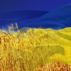 Іра Котик