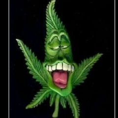 Владик Скакодуб, Ташкент