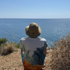 Андрей Тазин, Мещерино