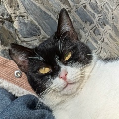 Николай Коновалов, 03.11.1993