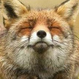 Денис Лясицинус, 12.09.1982, Новосибирск