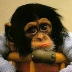 Амир Каесар, 01.01, Астана