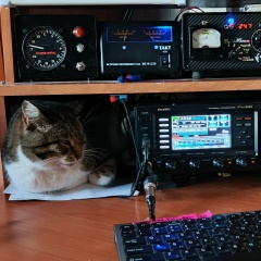 Платон Пугачёв, 07.06, Пугачев