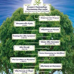 Alan Boranbaev, 18.02.1991, Алматы