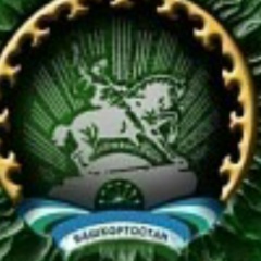 Венер Шайхиев, Сургут