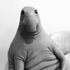 Костя Kondrakov, 01.03, Москва