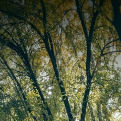 Насстя Нестерова, 02.01, Абакан