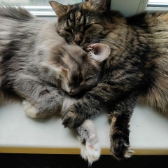 Наталья Апполонова, 24.11, Санкт-Петербург