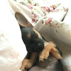 Анастасия Литвинюк, 13.10.1991