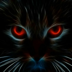 Александр Смирнов, 11.09, Пушкино