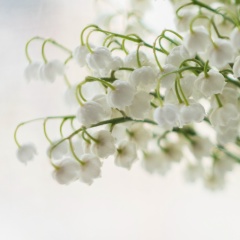 Анастасия Ревкова, 20.06, Кемерово