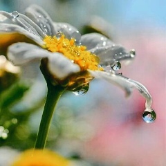 Лариса Войтенко, 20.05.1977