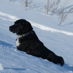 Альмир Зотин, 29.04.1985, Казань