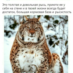 Оксана Будорагина, 21.11.1983, Екатеринбург