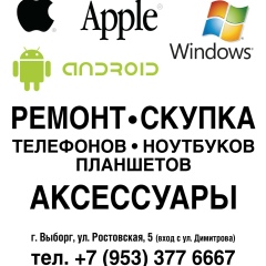 Павел Великоборец, 07.03.1984, Выборг