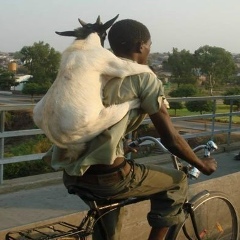 Алексей Loktionov, 22.02, Москва