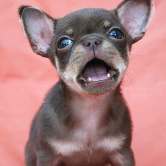 Светлана Александрова, 29.10, Санкт-Петербург