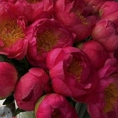 Нафиса Мухамедова, 29.03.1994, Шымкент