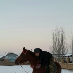 Айдын Сартаев, Алматы