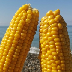 Диана Левковская, 23.07, Санкт-Петербург