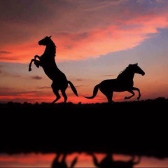 Нуржан Бекбаев, 27.06, Актау