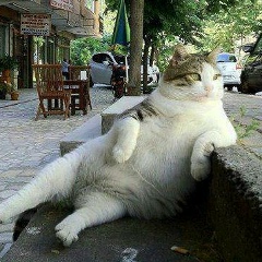 Георгий Хатаев, 11.04, Тюмень