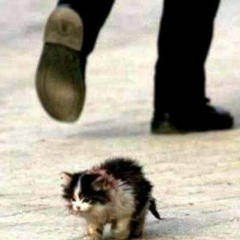 Ольга Владимирцева, 09.01.1994, Москва