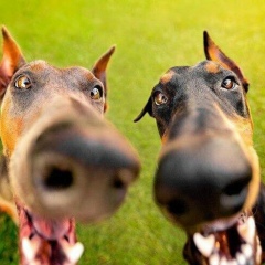 Марина Kir, Санкт-Петербург