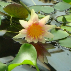 Татьяна Парамонова, 15.12, Санкт-Петербург