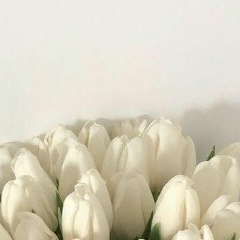 Гүлсана Алғарқызы, 03.10, Шымкент