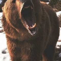 Тимур Черницев, 19.05, Новосибирск