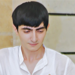 Арарат Оганнисян, 08.07.1996, Капан