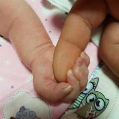 Александр Сорокин, 29.01.1988, Нефтеюганск